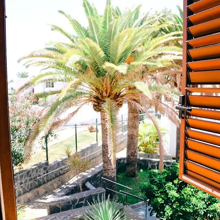 Apartment Virginia Playa de las Americas (Tenerife)