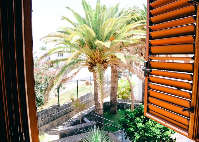 Apartman Virginia Playa de las Américas